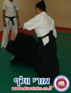 27-7-2009 שיעור משותף עם קבוצת אייקידו של אירית סנסאי