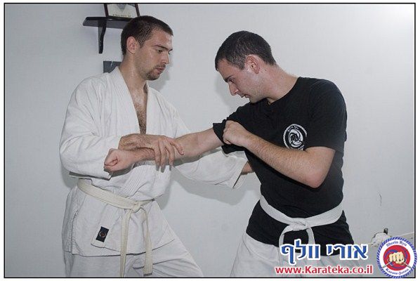 שיעור מיוחד בהשתתפות ג'ייל סנסאי (קראטה), אירית סנסאי (אייקידו), שרון פרידמן מסיסטמה, ורונן סנסאי (אייקידו). תודה רבה לערן מלמד על התמונות הנפלאות