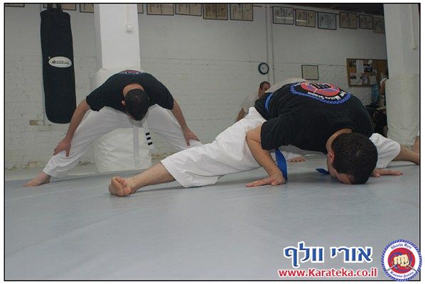 שיעור מיוחד בהשתתפות ג'ייל סנסאי (קראטה), אירית סנסאי (אייקידו), שרון פרידמן מסיסטמה, ורונן סנסאי (אייקידו). תודה רבה לערן מלמד על התמונות הנפלאות