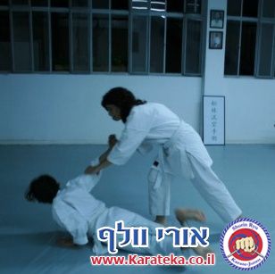 בחינות דרגה (קיו 9) גלית וטל 5-9-2010