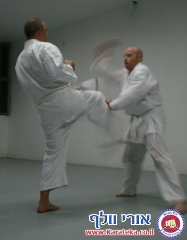 בחינות דרגה (קיו 9) גלית וטל 5-9-2010
