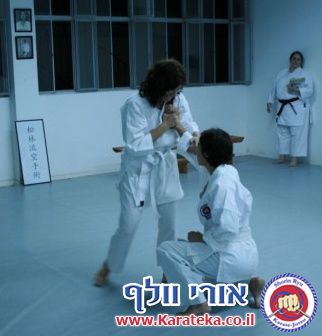 בחינות דרגה (קיו 9) גלית וטל 5-9-2010