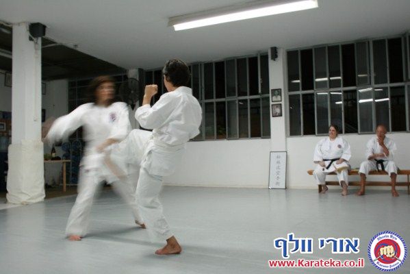 בחינות דרגה (קיו 9) גלית וטל 5-9-2010