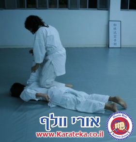 בחינות דרגה (קיו 9) גלית וטל 5-9-2010