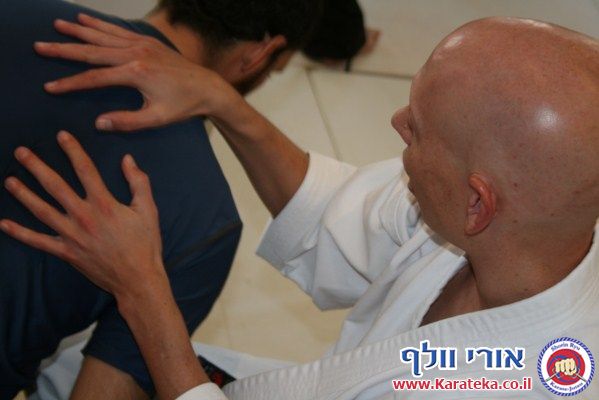 שיעור משותף ראשון לשנת 2011. בשיעור נכחו שלושה בתי ספר: קונג פו קוף (בהדרכת עמית הימלשטיין), איקיידו ישראל (בהדרכת אמיר זנדקוביץ) ובית הספר שלנו - שורין ריו קראטה ג'וטסו