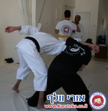 שיעור משותף ראשון לשנת 2011. בשיעור נכחו שלושה בתי ספר: קונג פו קוף (בהדרכת עמית הימלשטיין), איקיידו ישראל (בהדרכת אמיר זנדקוביץ) ובית הספר שלנו - שורין ריו קראטה ג'וטסו