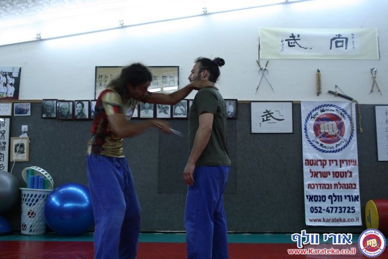 שיעור בו אורי בוסתן לימד הגנה על צד שלישי ועבודת סכין, ואורי וולף לימד את עקרונות השורין ריו קראטה ג'וטסו דרך בונקאי (יישום) של קאטה (תבנית)