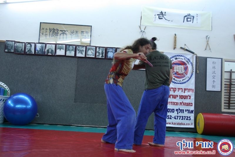 שיעור בו אורי בוסתן לימד הגנה על צד שלישי ועבודת סכין, ואורי וולף לימד את עקרונות השורין ריו קראטה ג'וטסו דרך בונקאי (יישום) של קאטה (תבנית)