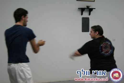 תמונות מסדנאות הגנה עצמית ושיעורי קראטה הנוגעים בתחום 