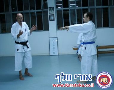 תמונות מסדנאות הגנה עצמית ושיעורי קראטה הנוגעים בתחום 