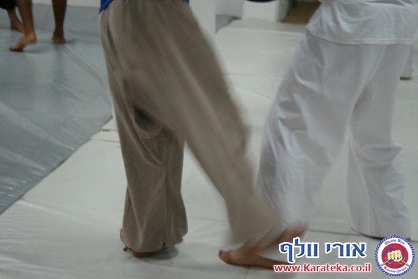 שיעור משותף עם קבוצת הקונג פו של עמית הימלשטיין 
