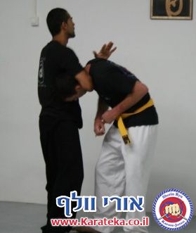 שיעור משותף עם קבוצת הקונג פו של עמית הימלשטיין 
