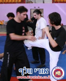 5 מאמנים 5 סגנונות. אימון ראש השנה 2010 במענית, בהשתתפות עמית הימלשטיין המארח (קונג פו קוף), צחי שוחט (קונג פו עגור לבן), ספיר טל (קונג פו גמל שלמה דרומי), ג'ון אסקדו (ארניס), אורי וולף (קראטה ג'וטסו)