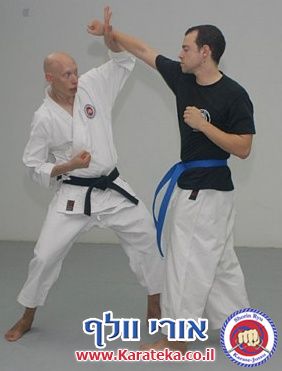 תירגול מתקדם של טכניקות שונות