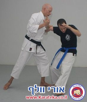 תירגול מתקדם של טכניקות שונות