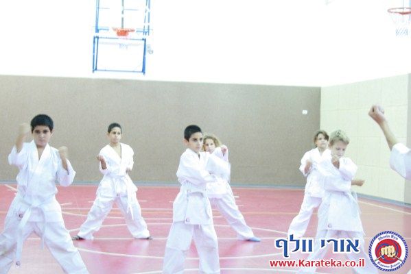 שיעורי קראטה לילדים בבית ספר ויצמן שביפו. האימונים מתקיימים בחסות עמותת בודו למען השלום.