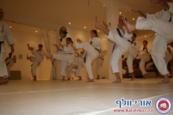 פטריק רו סנסאי, דאן 7 קובאישי שורין ריו מצרפת התארח אצלנו בדוג'ו ב9-3-2011 והעביר אימון מעולה. באימון השתתפו תלמידים משישה בתי ספר שונים לאומנוניות לחימה מסגנונות שונים.