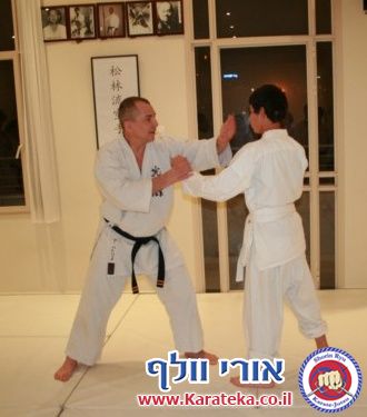 פטריק רו סנסאי, דאן 7 קובאישי שורין ריו מצרפת התארח אצלנו בדוג'ו ב9-3-2011 והעביר אימון מעולה. באימון השתתפו תלמידים משישה בתי ספר שונים לאומנוניות לחימה מסגנונות שונים.