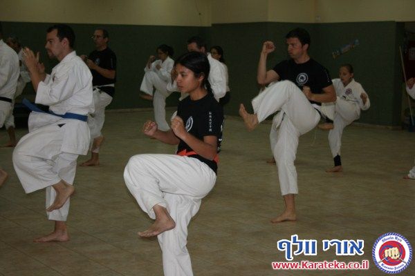 2-3/12/2011 מחנה אימונים של סוף שבוע בהשתתפות מורה אורח מחו''ל. 
