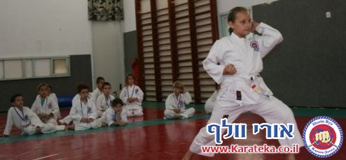 אימון מסכם לשנת הלימודים 2011-2012 אשר התקיים בדוג'ו חצור-אשדוד. באימון השתתפו רוב תלמידי הדוג'ו הצעירים. התמונות כוללות את האימון המכין והמסכם. גאה בתלמידים שלי שהפגינו רוח לחימה, ריכוז ומשמעת עצמית!
