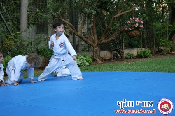 בסוף שנת אימונים מפרכת התקיים אימון סוף שנה בגינה, בנוכחות ההורים. הילדים גיל 4.5-6 הדגימו יכולות מרשימות! החל מיכולות פיסיות, ועד ליכולות טכניות ויכולות ריכוז גבוהות. בסוף האימון התקיימה תחרות קאטות.