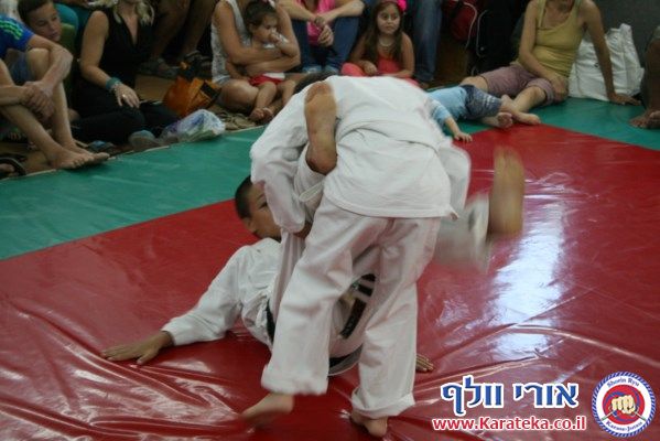 אימון סיכום שנה לחניכי האקדמיה לשנת 2012-2013, בדוג'ו חצור. יש תמונות מההכנה לאירוע המסכם, אשר כלל טכניקות בסיס, הפלות, גילגולים, קאטות וקרבות