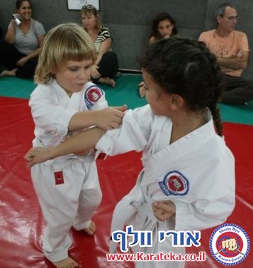 אימון סיכום שנה לחניכי האקדמיה לשנת 2012-2013, בדוג'ו חצור. יש תמונות מההכנה לאירוע המסכם, אשר כלל טכניקות בסיס, הפלות, גילגולים, קאטות וקרבות