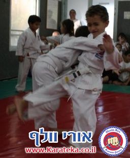 אימון סיכום שנה לחניכי האקדמיה לשנת 2012-2013, בדוג'ו חצור. יש תמונות מההכנה לאירוע המסכם, אשר כלל טכניקות בסיס, הפלות, גילגולים, קאטות וקרבות