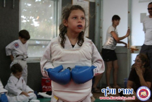 אימון סיכום שנה לחניכי האקדמיה לשנת 2012-2013, בדוג'ו חצור. יש תמונות מההכנה לאירוע המסכם, אשר כלל טכניקות בסיס, הפלות, גילגולים, קאטות וקרבות
