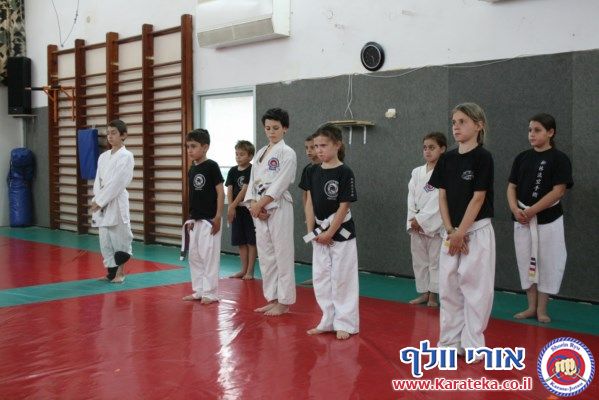 5-6/2013 אימונים של קבוצות גן- כיתה ו'. עבודת בסיס, קרבות והענקת פסים.