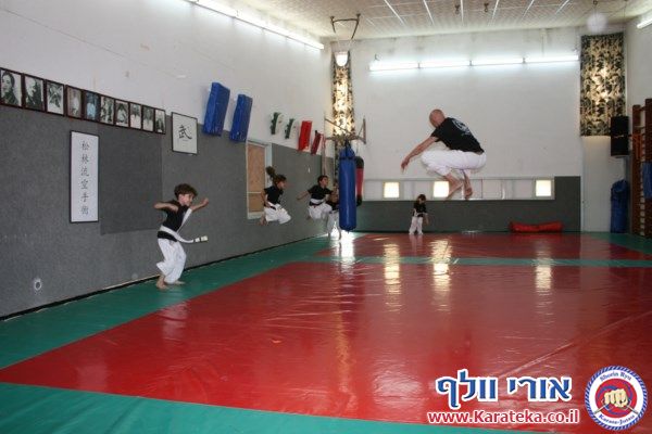 5-6/2013 אימונים של קבוצות גן- כיתה ו'. עבודת בסיס, קרבות והענקת פסים.