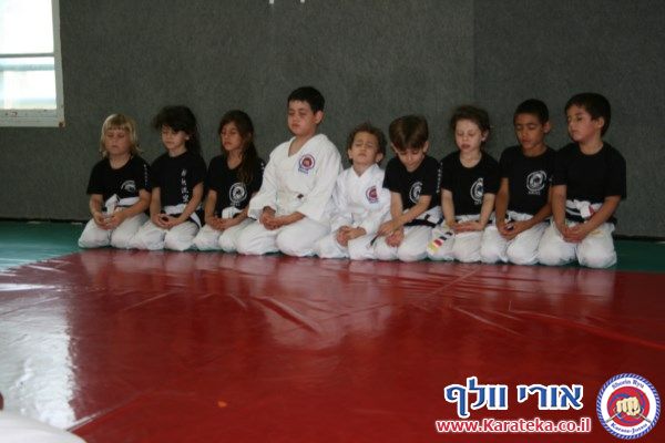 5-6/2013 אימונים של קבוצות גן- כיתה ו'. עבודת בסיס, קרבות והענקת פסים.