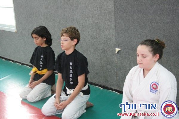 5-6/2013 אימונים של קבוצות גן- כיתה ו'. עבודת בסיס, קרבות והענקת פסים.
