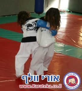 5-6/2013 אימונים של קבוצות גן- כיתה ו'. עבודת בסיס, קרבות והענקת פסים.