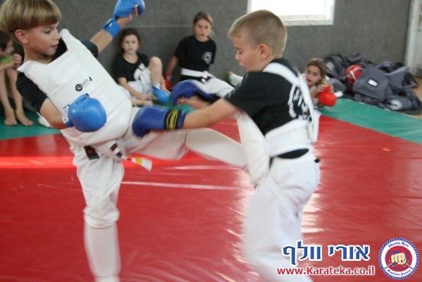 5-6/2013 אימונים של קבוצות גן- כיתה ו'. עבודת בסיס, קרבות והענקת פסים.