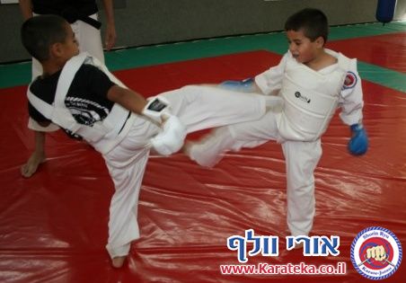 5-6/2013 אימונים של קבוצות גן- כיתה ו'. עבודת בסיס, קרבות והענקת פסים.
