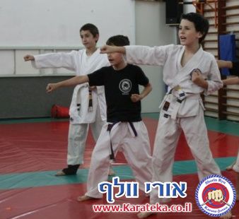 5-6/2013 אימונים של קבוצות גן- כיתה ו'. עבודת בסיס, קרבות והענקת פסים.