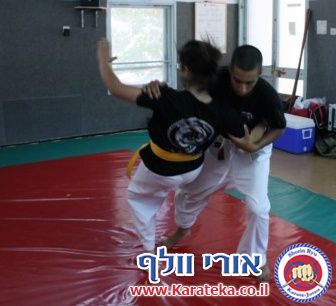 מחנה האימונים התקיים ב 2-3/8/2013 בדוג'ו שבקיבוץ חצור אשדוד. הדגש באימונים היה על אינטנסיביות ואגרסיביות. משך האימון היה 4 שעות. הדגש היה אינסיביות תחת לחץ, ביצוע של תרגילים מובנים כשהגוף והמוח עייפים