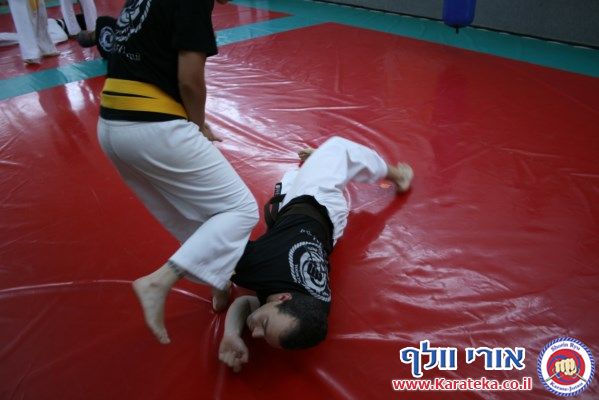 מחנה האימונים התקיים ב 2-3/8/2013 בדוג'ו שבקיבוץ חצור אשדוד. הדגש באימונים היה על אינטנסיביות ואגרסיביות. משך האימון היה 4 שעות. הדגש היה אינסיביות תחת לחץ, ביצוע של תרגילים מובנים כשהגוף והמוח עייפים