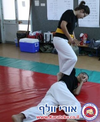 מחנה האימונים התקיים ב 2-3/8/2013 בדוג'ו שבקיבוץ חצור אשדוד. הדגש באימונים היה על אינטנסיביות ואגרסיביות. משך האימון היה 4 שעות. הדגש היה אינסיביות תחת לחץ, ביצוע של תרגילים מובנים כשהגוף והמוח עייפים