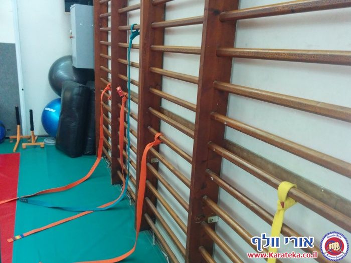 תמונות ממחנה האימונים שנערך בסוכות, בדוג'ו חצור אשדוד האימונים התמקדו בהפלות, הטלות וצמצום טווח. בית הספר לאמנויות לחימה והגנה עצמית, שורין ריו קראטה ג'וטסו ישראל.